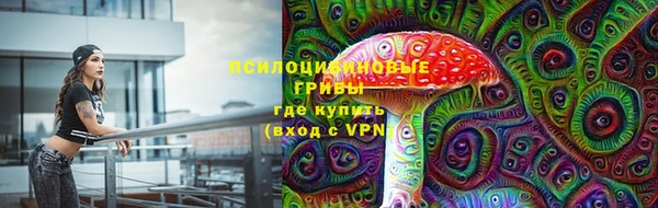 прущие грибы Пестово